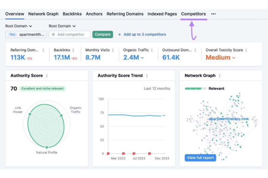 Competitors Backlinks: How To Thoroughly Analyze Them? 25 Continue by pressing ‘Competitors.’
