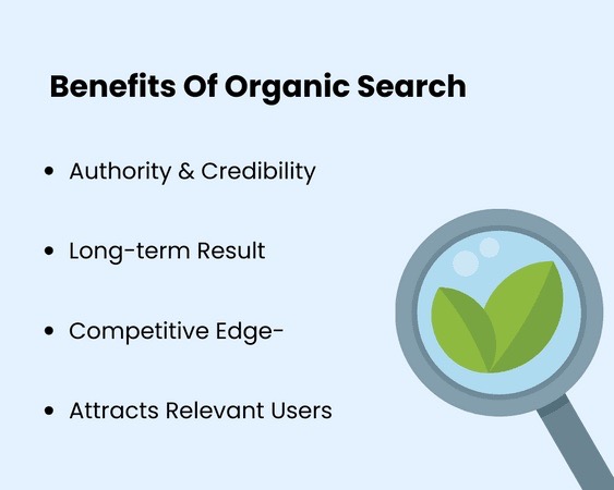 organic-search-1