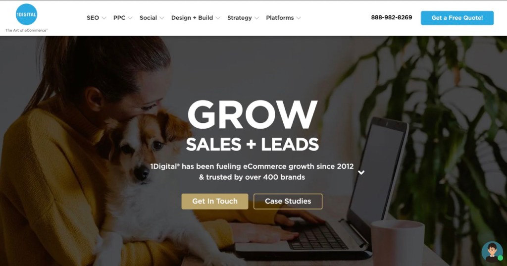 web-development-service-1